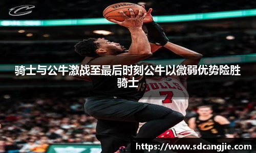 智博19有限公司