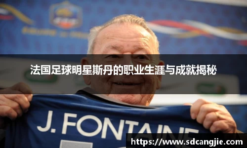 法国足球明星斯丹的职业生涯与成就揭秘